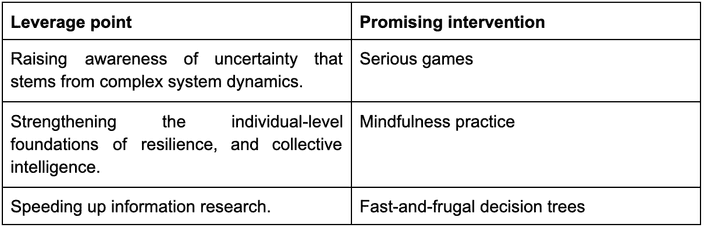 Table of identified leverage points and promising interventions